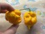 Hot Pepper 'Yellow Carolina Reaper' AKA ‘Reaper Moruga Yellow' Seeds (Certified Organic)