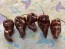 Hot Pepper ‘Chocolate Bastard' Seeds (Certified Organic)