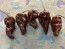 Hot Pepper ‘Chocolate Bastard' Seeds (Certified Organic)