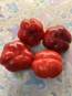 Sweet Pepper 'Liebesapfel' aka 'Love Apple' Seeds (Certified Organic)