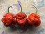 Hot Pepper 'Moruga Red Monster' Seeds (Certified Organic)