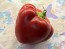 Hot Pepper ‘Hussli Tomato Pepper’ Seeds (Certified Organic)
