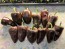 Hot Pepper ‘Chilhuacle Negro' Seeds (Certified Organic)