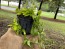 Golden Pothos Vine (Live Plant)