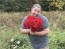 Dahlia 'Puffy Red' Tubers - Shipping 2025 Spring - Harvested on our Farm - USDA Certified Organic