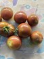 Tomato 'Striped Ping Pong' Seeds (Certified Organic)