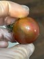 Tomato 'Striped Ping Pong' Seeds (Certified Organic)