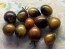 Tomato 'Blue Keyes' Seeds (Certified Organic)