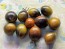 Tomato 'Blue Keyes' Seeds (Certified Organic)