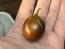 Tomato 'Blue Keyes' Seeds (Certified Organic)
