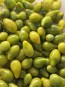 Tomato 'Green Pear' Seeds (Certified Organic)