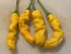 Hot Pepper ‘Yellow Peter’ Seeds (Certified Organic)