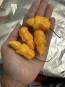 Hot Pepper 'Golden Slimer' Seeds (Certified Organic)