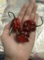 Hot Pepper 'Purple Reaper' Seeds (Certified Organic)