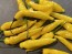 Hot Pepper 'Aji Lemon Drop' Seeds (Certified Organic)