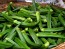 Okra 'Clemson Spineless'