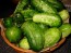 Cucumber 'National Pickling'
