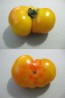Tomato 'Rumi Banjan'