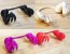 3D Printed T-Rex Dinosaur Arms for Chickens and Roosters 